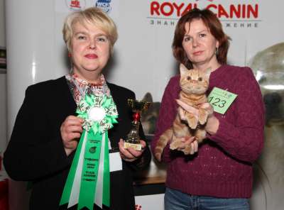 �������� ����� '������� ���-�����' 30 ������-1 ������� 2013., ������������ ��� 3037